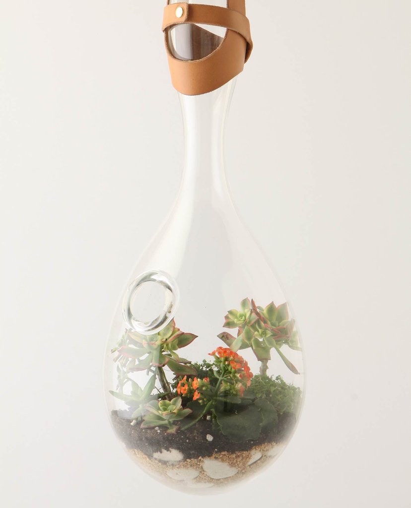 Droplet Terrarium